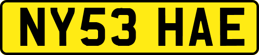 NY53HAE