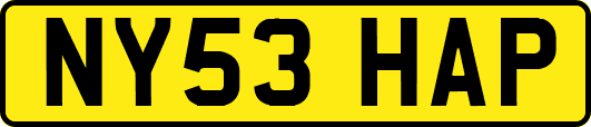 NY53HAP