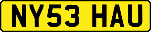 NY53HAU