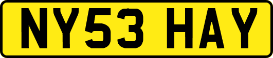 NY53HAY