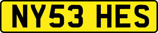 NY53HES