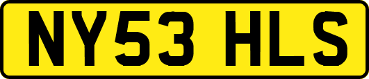 NY53HLS