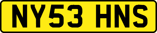 NY53HNS