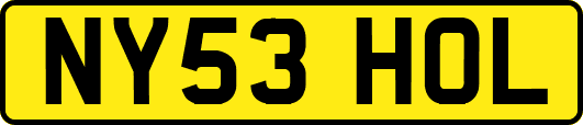 NY53HOL