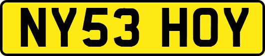 NY53HOY