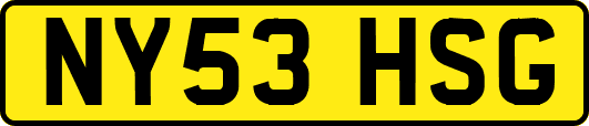 NY53HSG