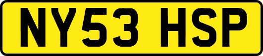 NY53HSP
