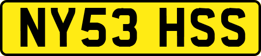 NY53HSS