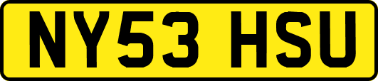 NY53HSU