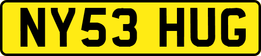 NY53HUG