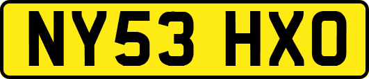 NY53HXO