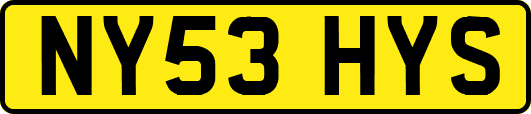 NY53HYS