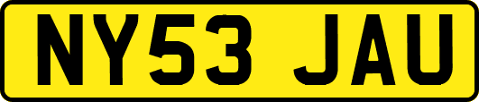 NY53JAU