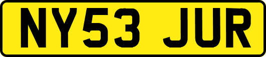 NY53JUR
