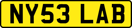 NY53LAB