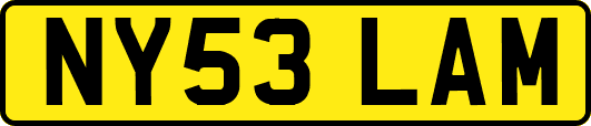 NY53LAM