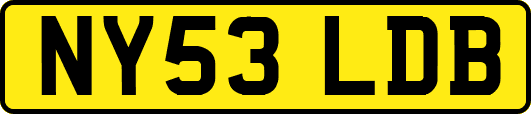 NY53LDB
