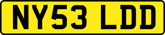 NY53LDD