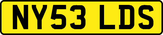 NY53LDS