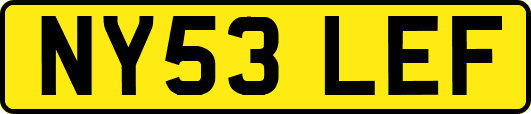 NY53LEF