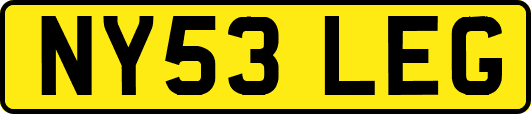 NY53LEG