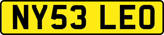 NY53LEO