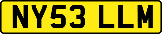 NY53LLM