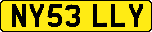 NY53LLY