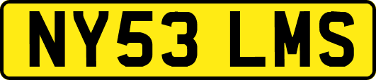 NY53LMS
