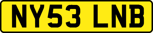 NY53LNB