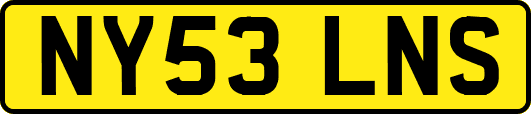 NY53LNS