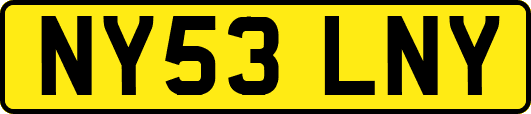 NY53LNY
