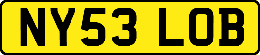 NY53LOB