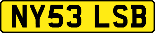 NY53LSB