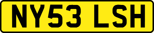 NY53LSH