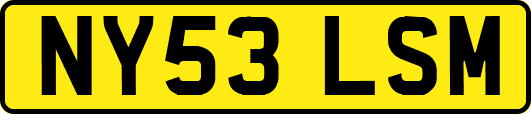 NY53LSM