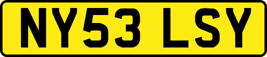 NY53LSY