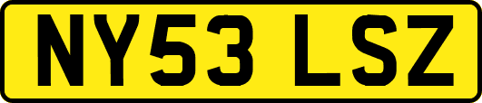NY53LSZ