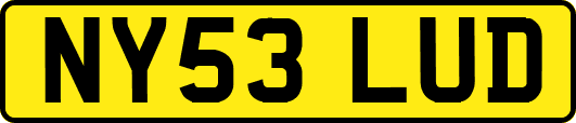NY53LUD