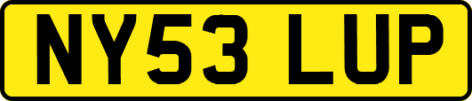 NY53LUP