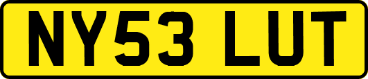 NY53LUT