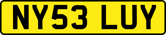 NY53LUY