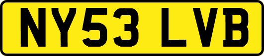 NY53LVB