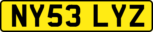 NY53LYZ