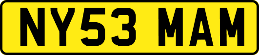 NY53MAM