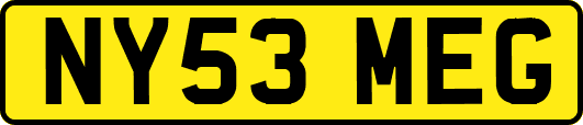 NY53MEG