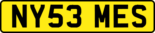 NY53MES