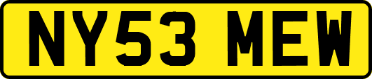 NY53MEW
