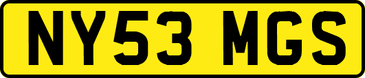 NY53MGS