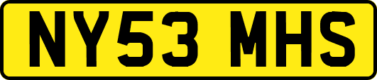 NY53MHS